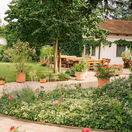 Hotel-Restaurant-Vinothek Felix Sommer Auersthal Экстерьер фото